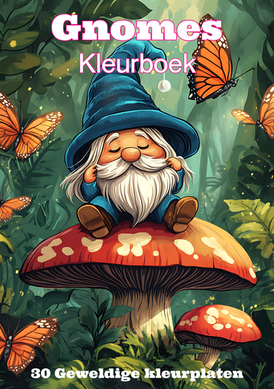 Gnomes kleurboek