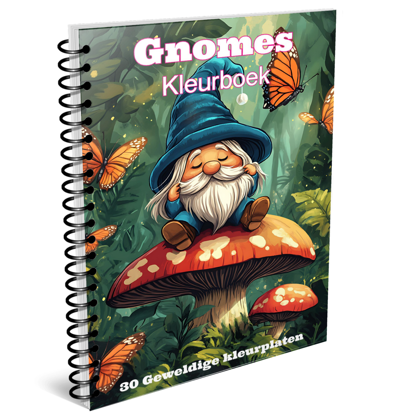 Gnomes kleurboek - Met 30 kleurplaten